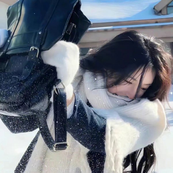 风武雁华